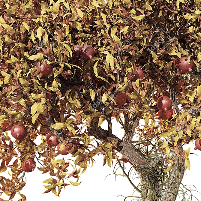 Autumn Pomegranate Tree Scene 3D model image 6