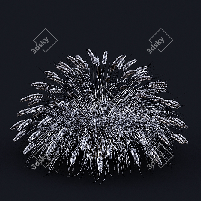 Decorative Pennisetum Grass Set 3D model image 4