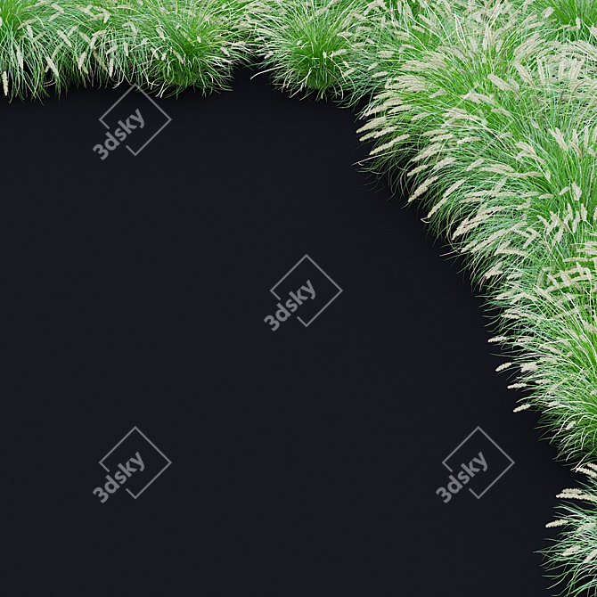 Decorative Pennisetum Grass Set 3D model image 6