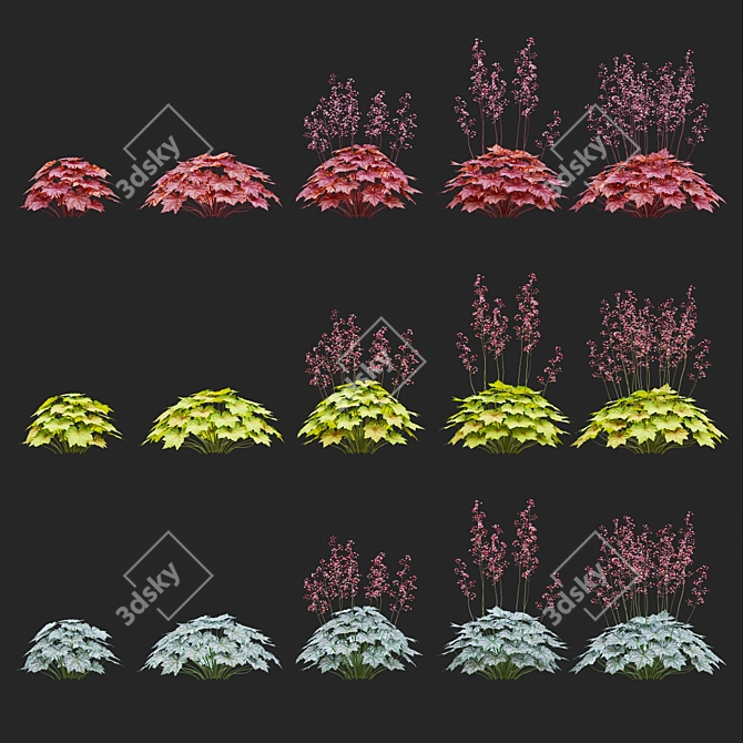 Hybrid Heuchera Flowers Collection 3D model image 2