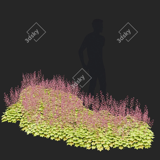 Hybrid Heuchera Flowers Collection 3D model image 3