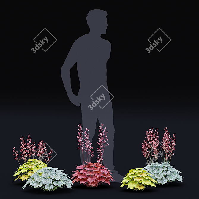 Hybrid Heuchera Flowers Collection 3D model image 4