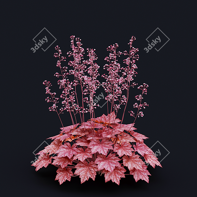 Hybrid Heuchera Flowers Collection 3D model image 6