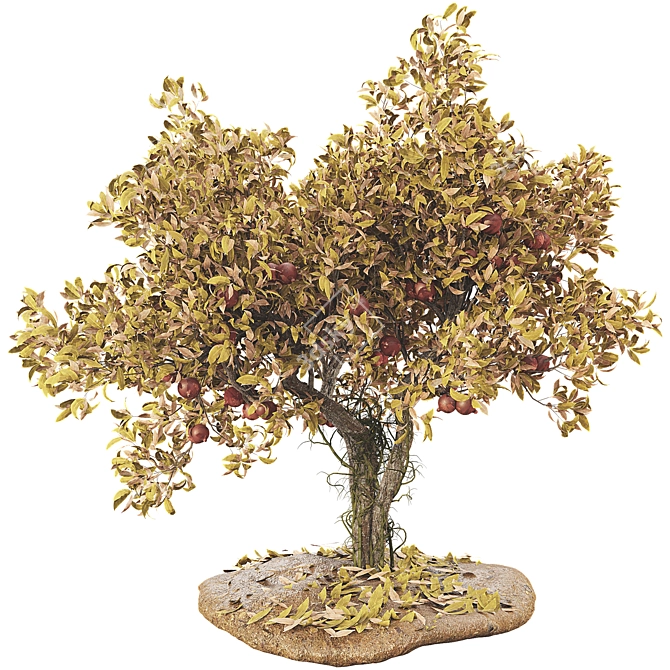 Pomegranate Tree 3D Model with Materials 3D model image 3