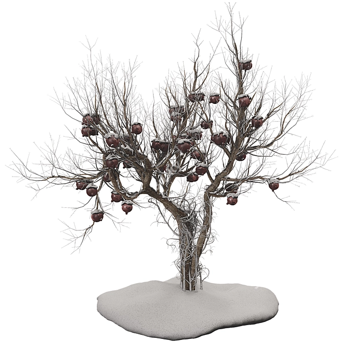 Pomegranate Tree 3D Model with Materials 3D model image 4