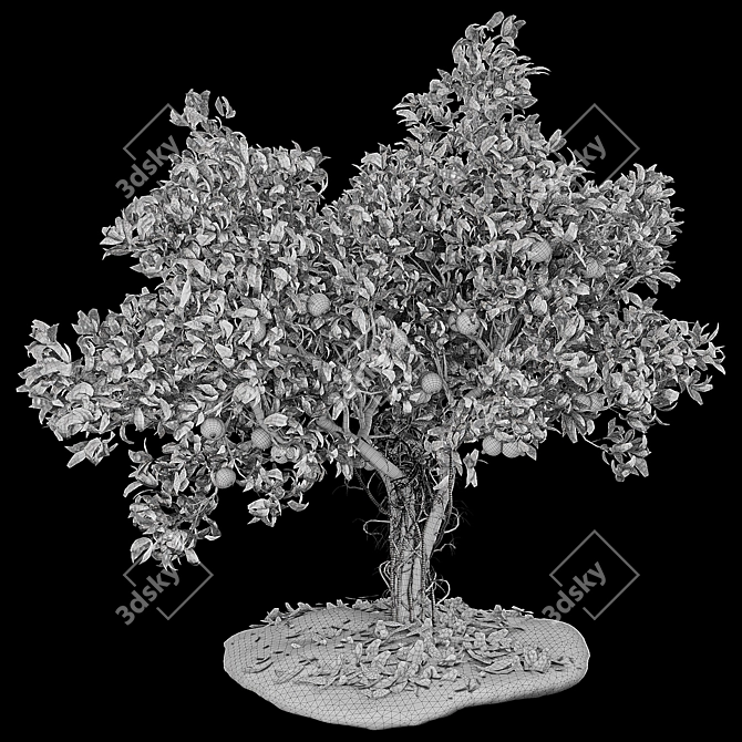 Pomegranate Tree 3D Model with Materials 3D model image 5