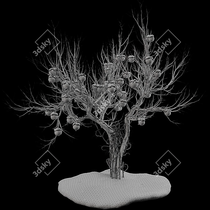 Pomegranate Tree 3D Model with Materials 3D model image 6