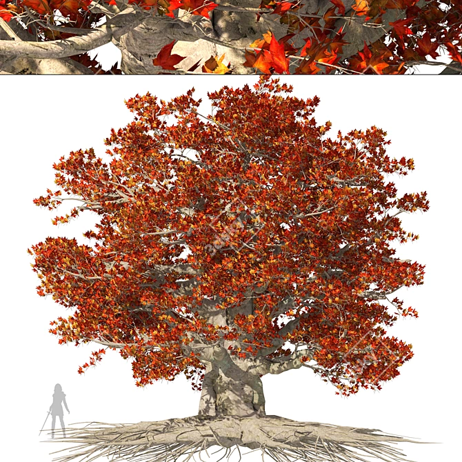 Weirwood Heart Tree Replica 3D model image 1