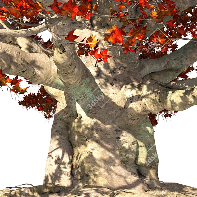 Weirwood King's Landing Tree Statue 3D model image 4