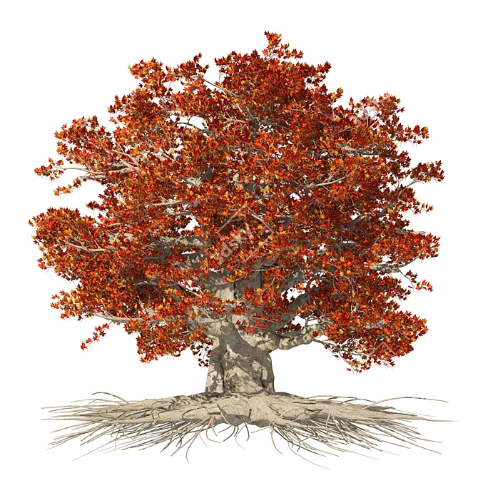 Weirwood King's Landing Tree Statue 3D model image 5