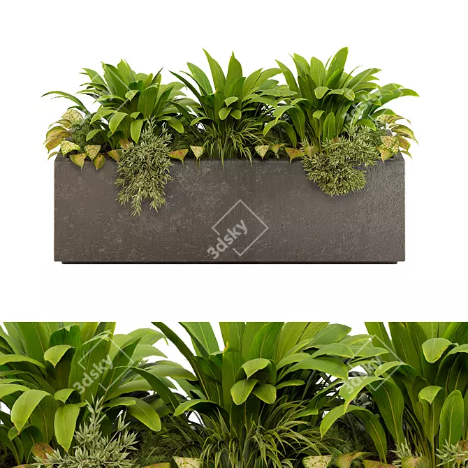 Botanical Sanctuary Outdoor Plants 3D model image 1