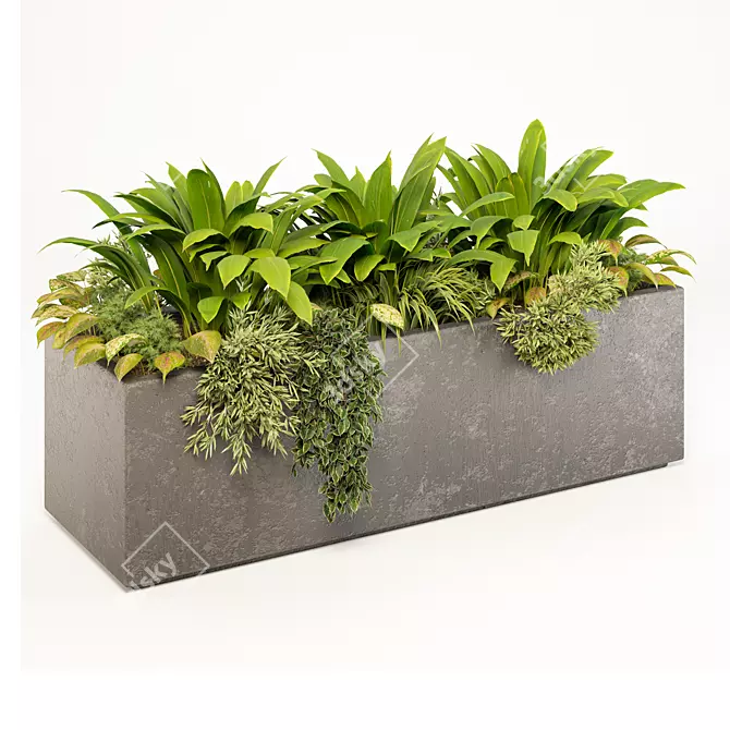 Botanical Sanctuary Outdoor Plants 3D model image 3