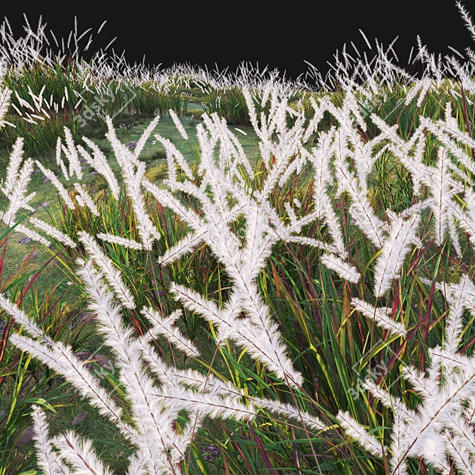 Versatile 3D Plant Models Solution 3D model image 3