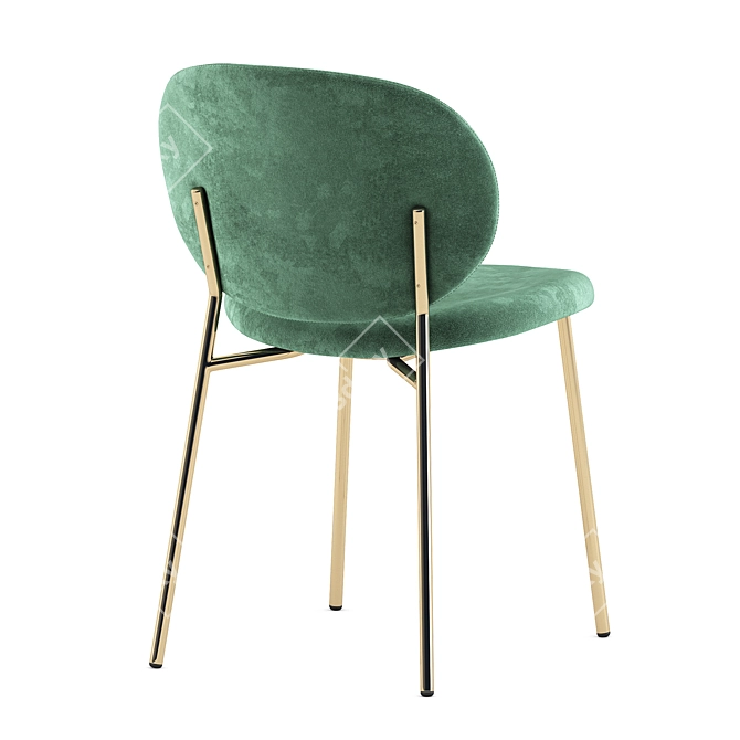Elegant Ines Chairs by Calligaris 3D model image 5