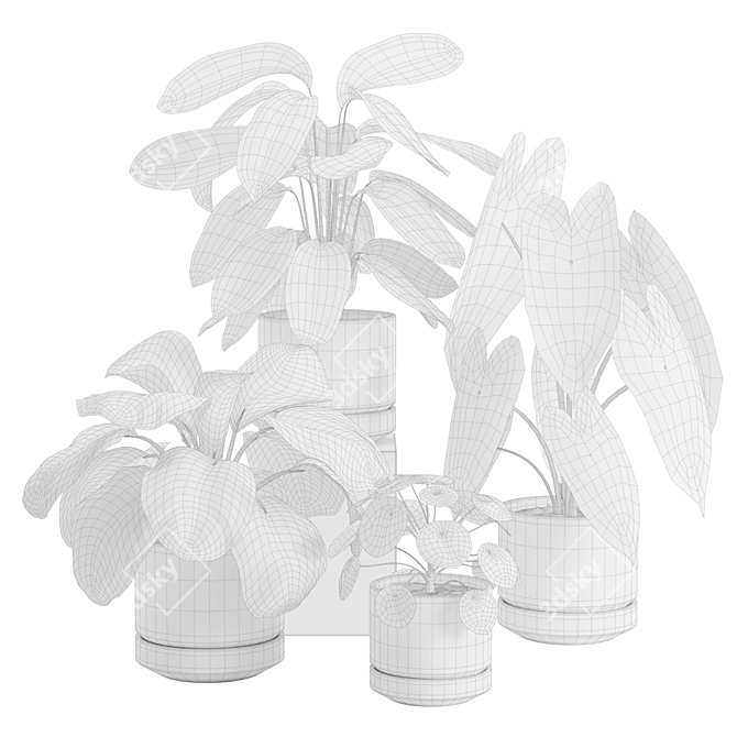 Exotic Indoor Plant Collection Pack 3D model image 2