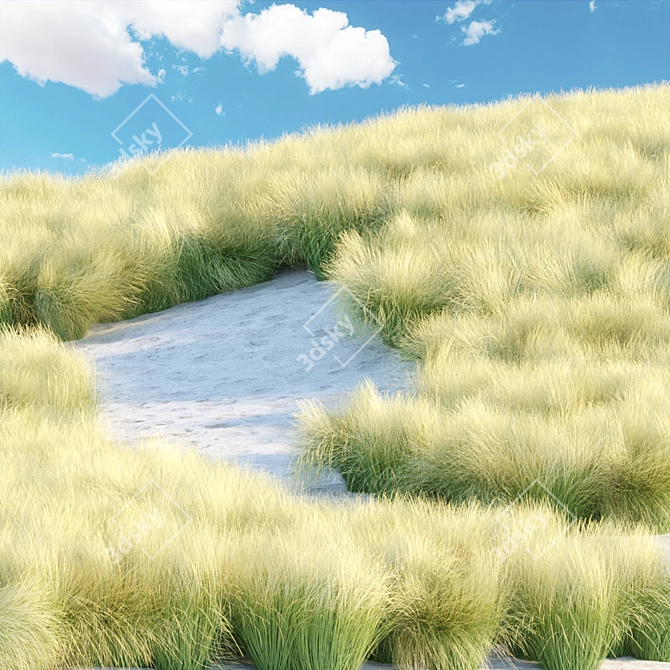 PBR Maram Grass 3D Model 3D model image 2