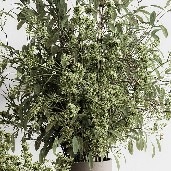 Potted Plant & Vase Duo 3D model image 3