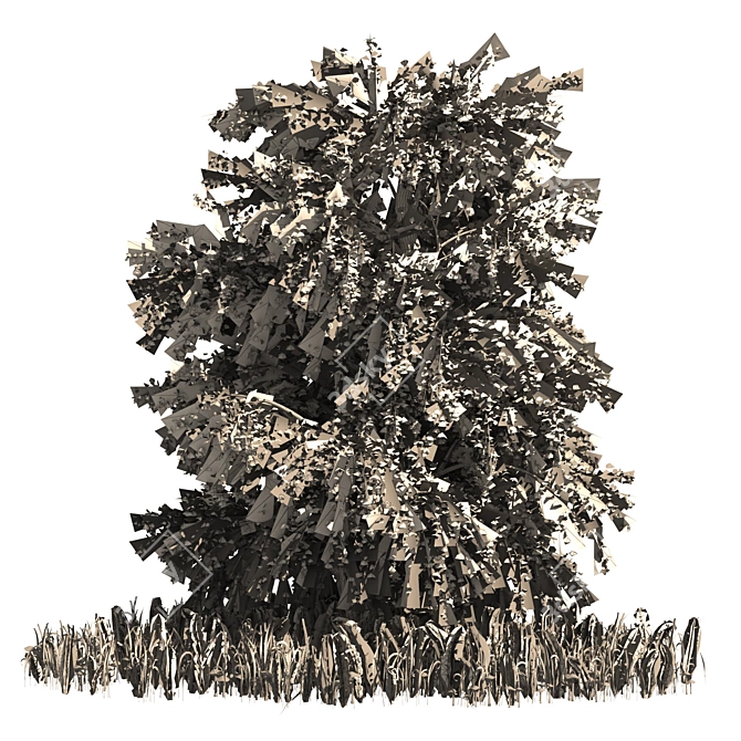 Japanese Katsura Tree 3D Model 3D model image 5