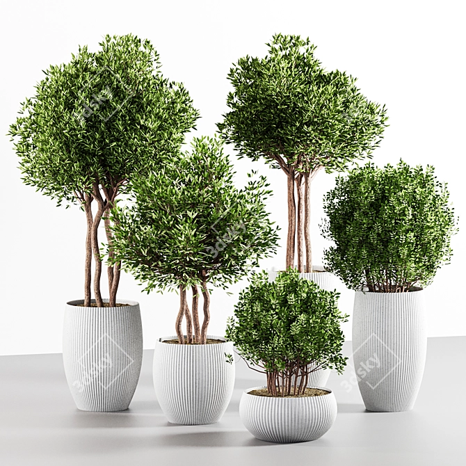  Botanical Collection 3D Models 3D model image 1