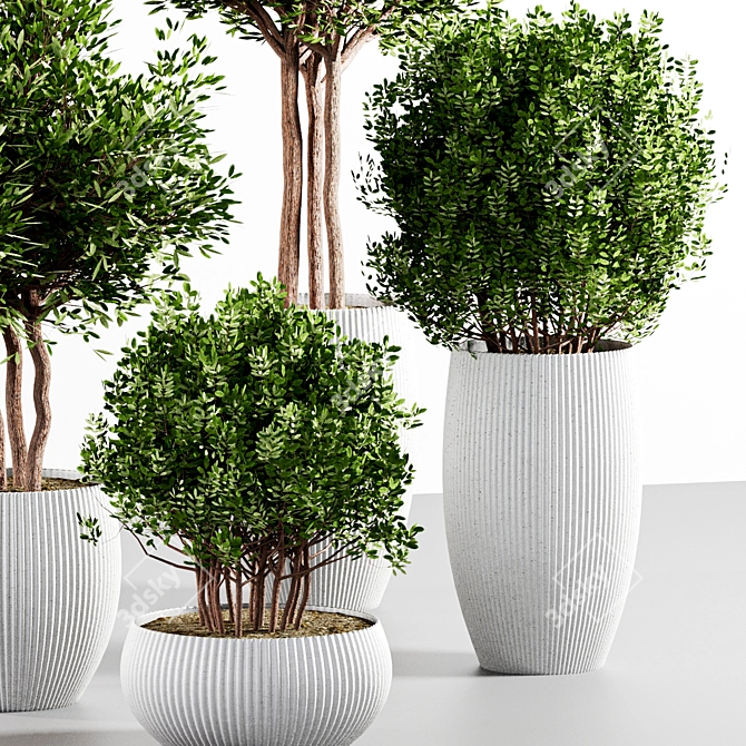  Botanical Collection 3D Models 3D model image 3