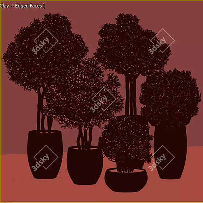 Botanical Collection 3D Models 3D model image 4