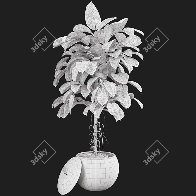 Indoor Ficus Elastica Rubber Plant 3D model image 5