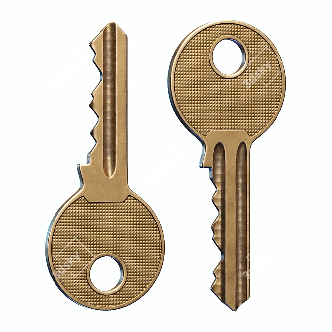 Metallic Key - Genuine Security 3D model image 1