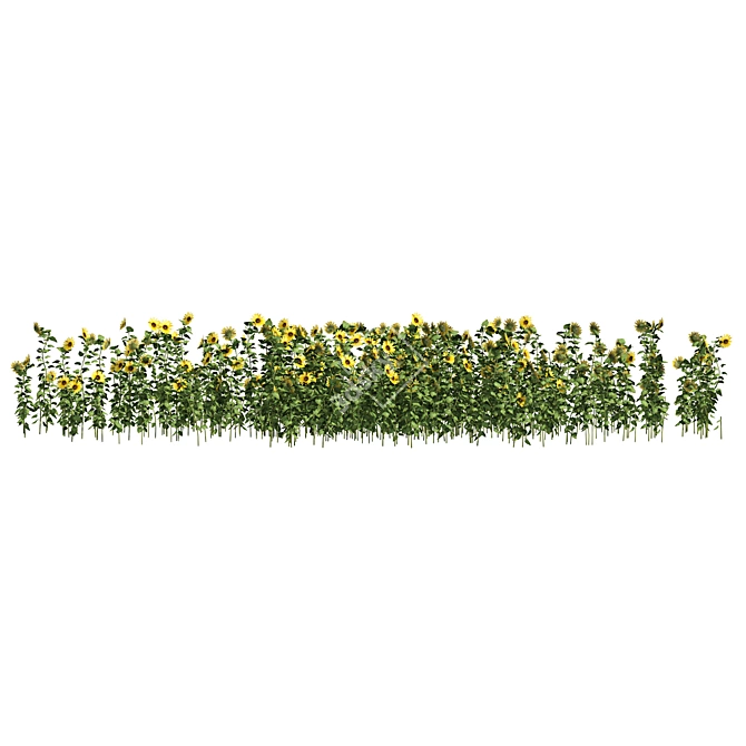 Optimized 3D Sunflower Field Model 3D model image 4