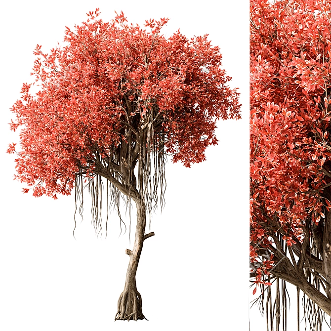Japanese Garden Trees Collection. 3D model image 4