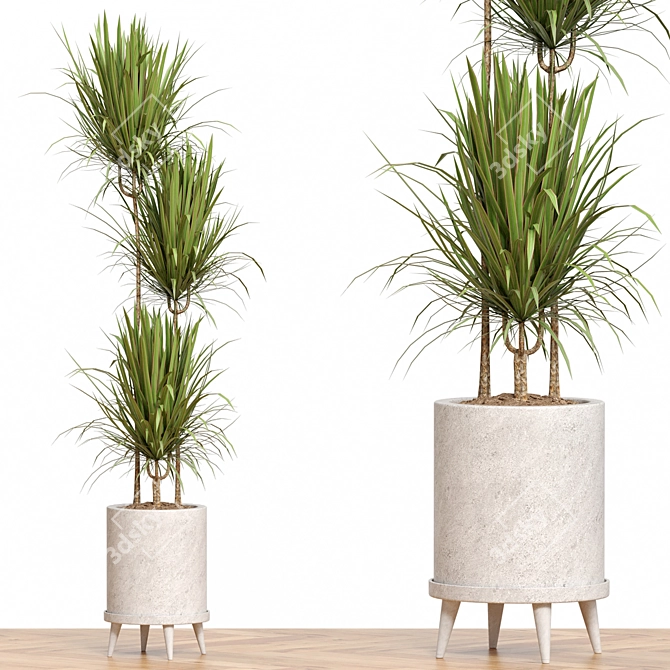 Corona Plant Collection 3D Models 3D model image 1