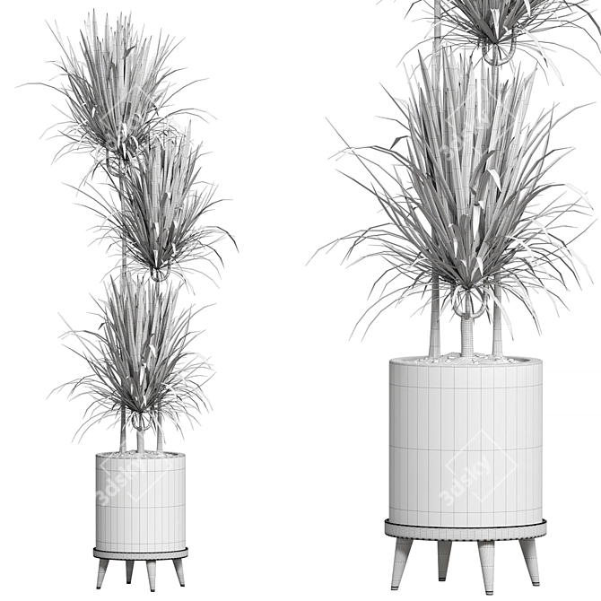 Corona Plant Collection 3D Models 3D model image 2