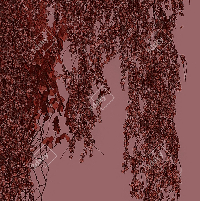 Quality Hedera Outdoor Plant Model 3D model image 7