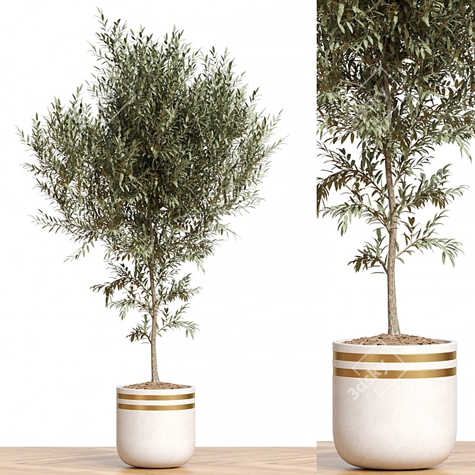 Flora Assortment for Rendering 3D model image 1