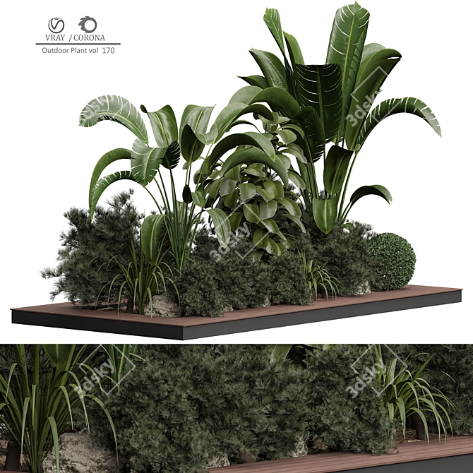 Versatile Outdoor Plant 3D Model 3D model image 1