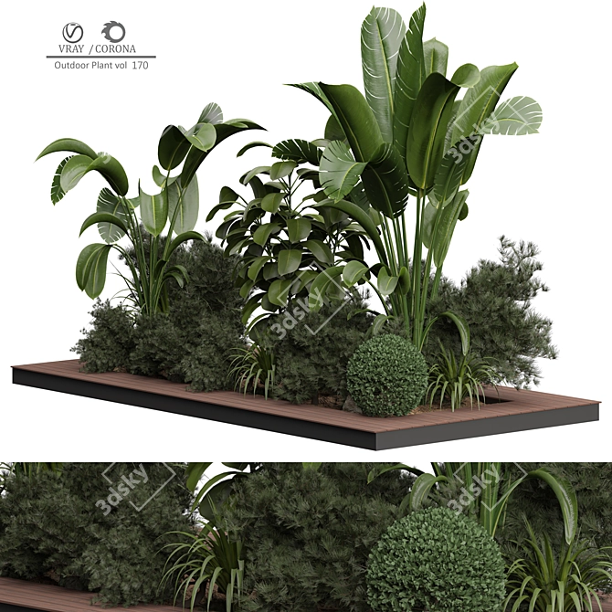 Versatile Outdoor Plant 3D Model 3D model image 2