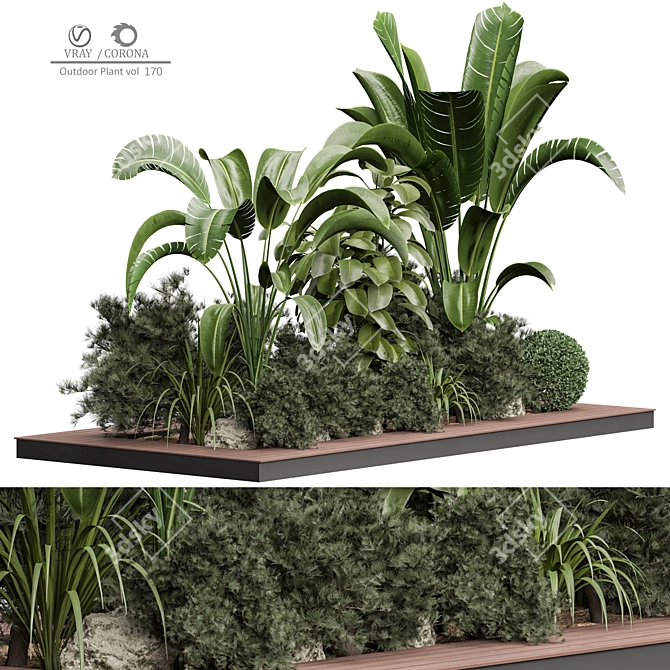 Versatile Outdoor Plant 3D Model 3D model image 4