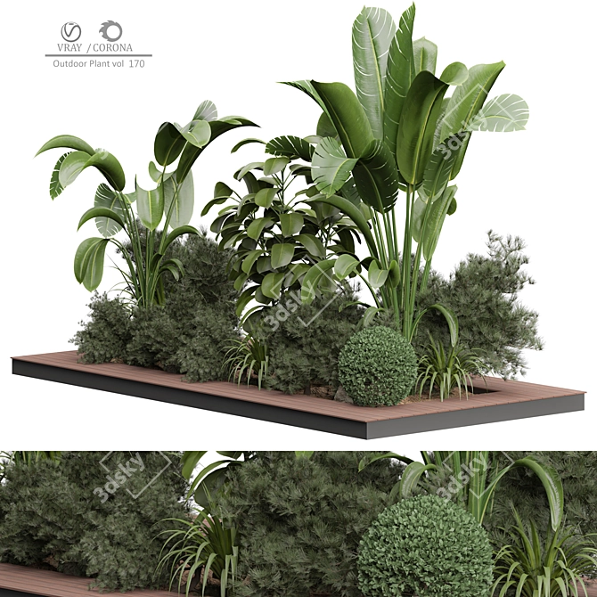 Versatile Outdoor Plant 3D Model 3D model image 5