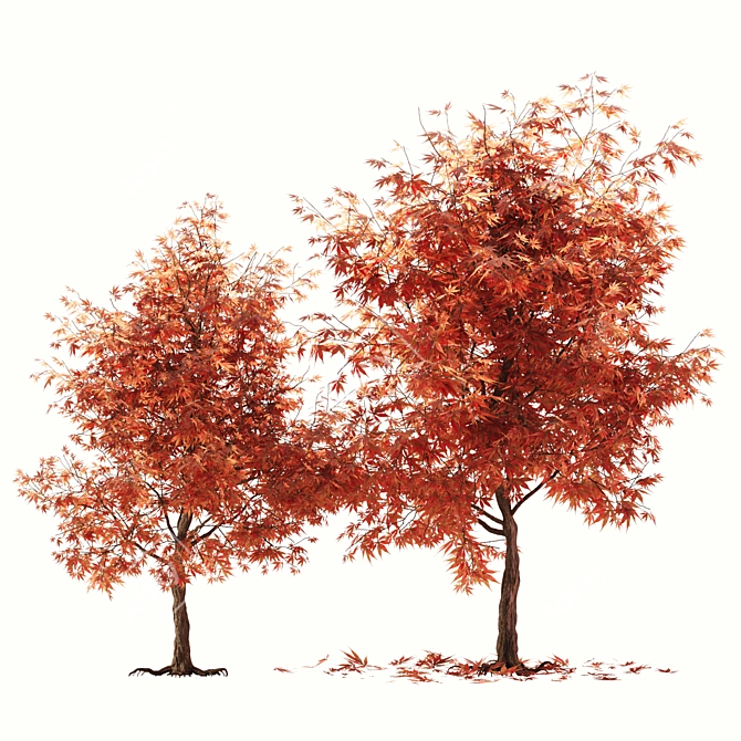 Rustic Maple Tree Decor 3D model image 1