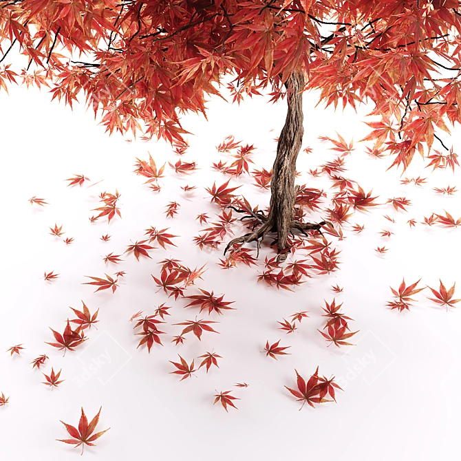 Rustic Maple Tree Decor 3D model image 4