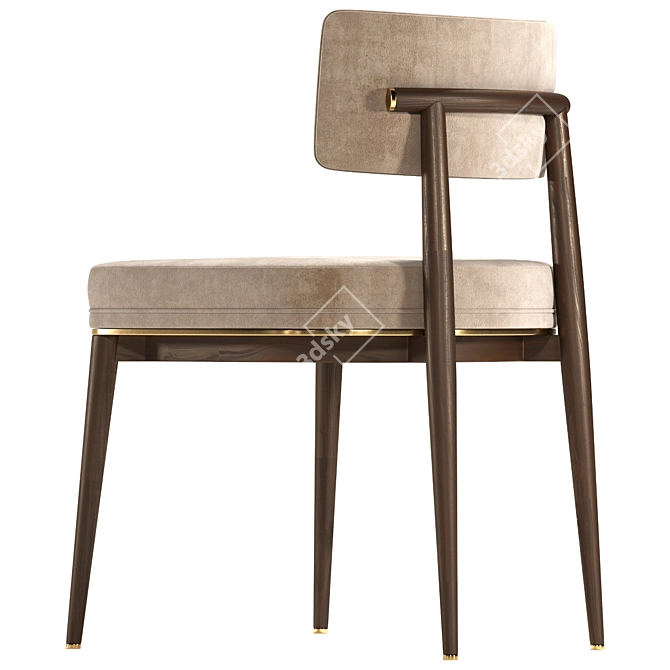 Modern Aster Frank Dining Chair 3D model image 2