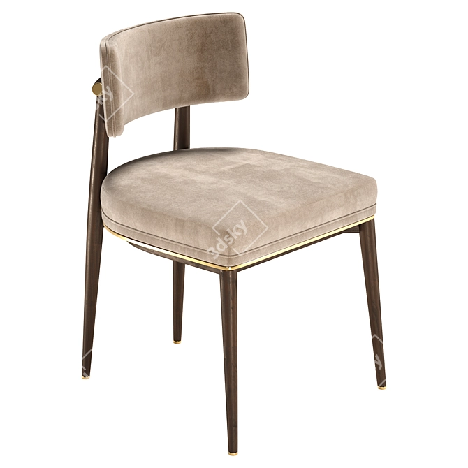 Modern Aster Frank Dining Chair 3D model image 3