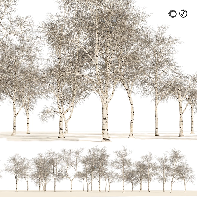 Winter Birch Tree Forest Model 3D model image 1