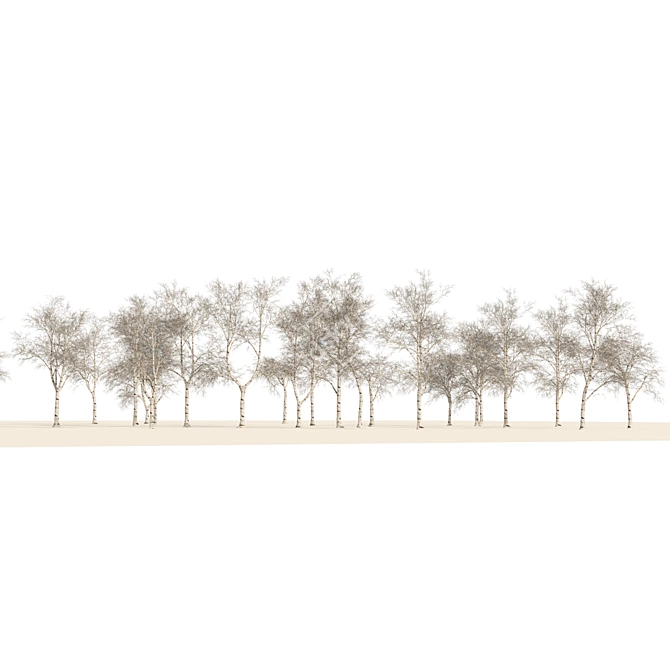 Winter Birch Tree Forest Model 3D model image 4