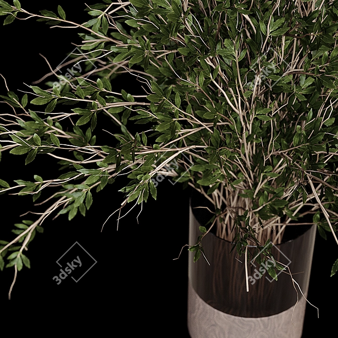 Pompas Bouquet 3D Model Export 3D model image 2