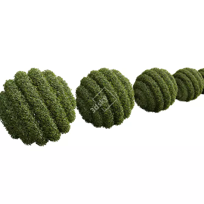 Dual Pruned Plant 3D Models 3D model image 3