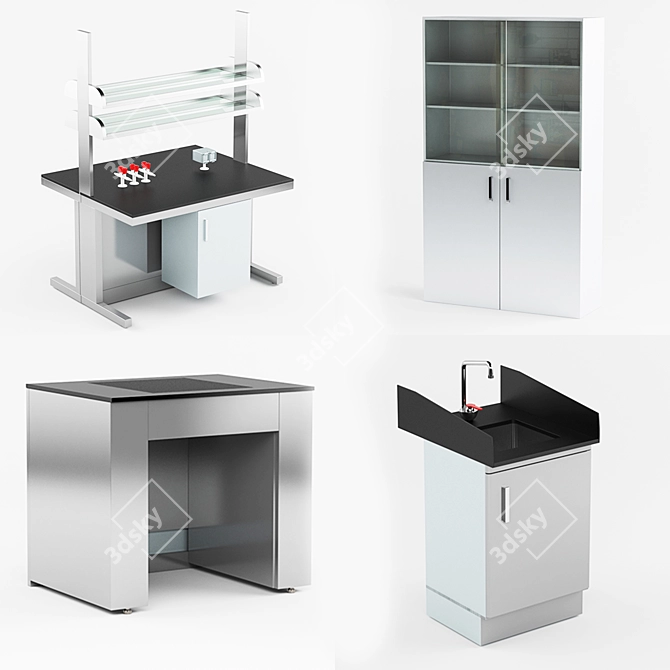 Laboratory Wall Bench Island Sink 3D model image 1