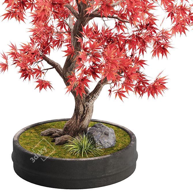 Miniature Bonsai Tree 02 3D model image 2