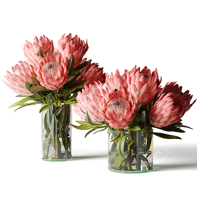 Protea Bouquets in Glass Vases 3D model image 1