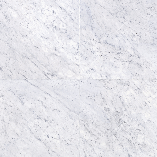 Carrara Marble Tiles Collection 3D model image 2