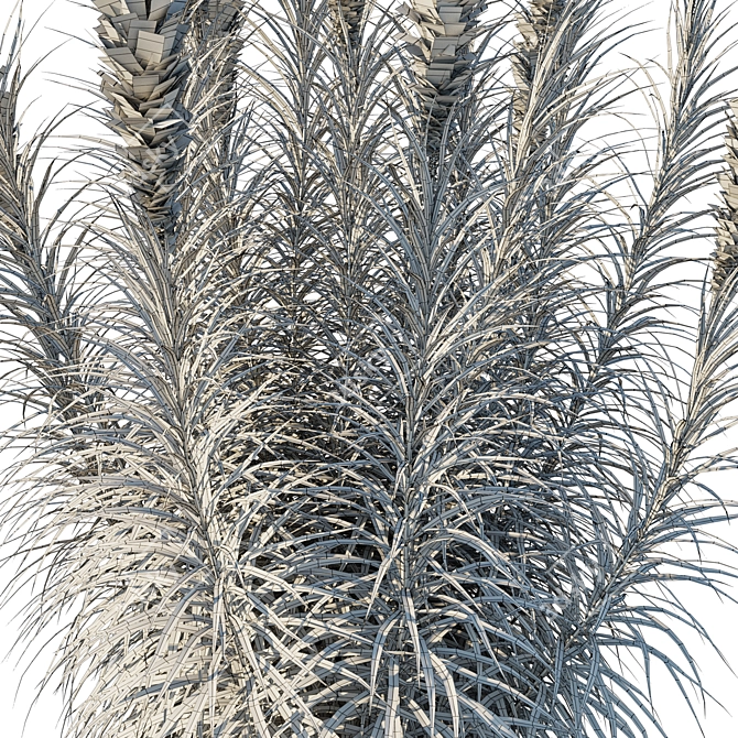 Astral Liatris 3D Model Kit 3D model image 3